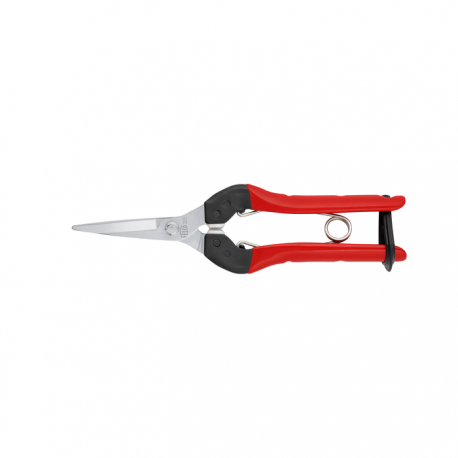 Sekator do kwiatów, owoców i warzyw FELCO 322