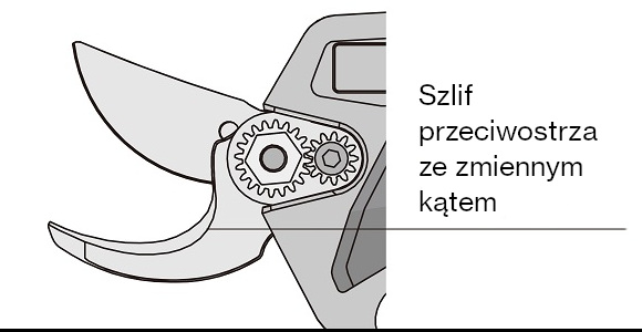 Szlif przeciwostrza sekatora elektrycznego ARS