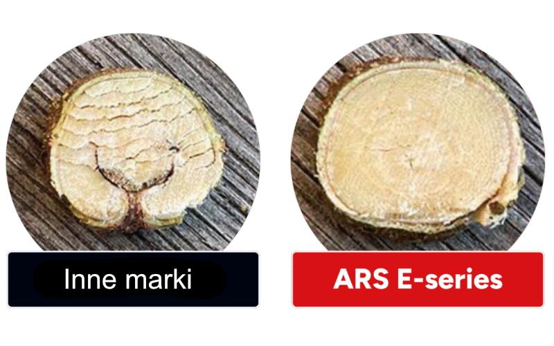 Czyste cięcie sekator&oacute;w ARS